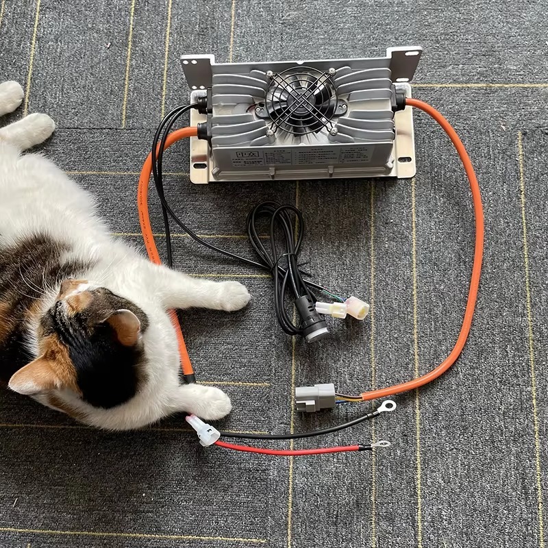 48V 60V 72V 80V 리튬이온 Lifepo4 이 - 72V 15A Fast Charger 리뷰 및 가격